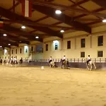 Villini Club 아파트 아르보레아